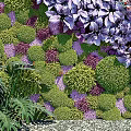 Living Green Plant Wall With Various Greenery Purple Flowers And Lush Foliage