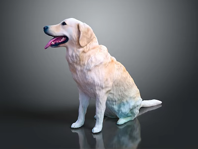 Shiny Yellow Labrador Dog Sitting on Dark Background with Tongue Out 3d model