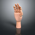 Wooden Hand Model With Poseable Fingers And Smooth Natural Finish
