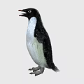 Cute Penguin Standing With Open Wings And Black White Feathers On Plain White Background