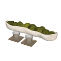 Green Round Bonsai Potted Plants in White Long Container with Glass Cups on Coasters