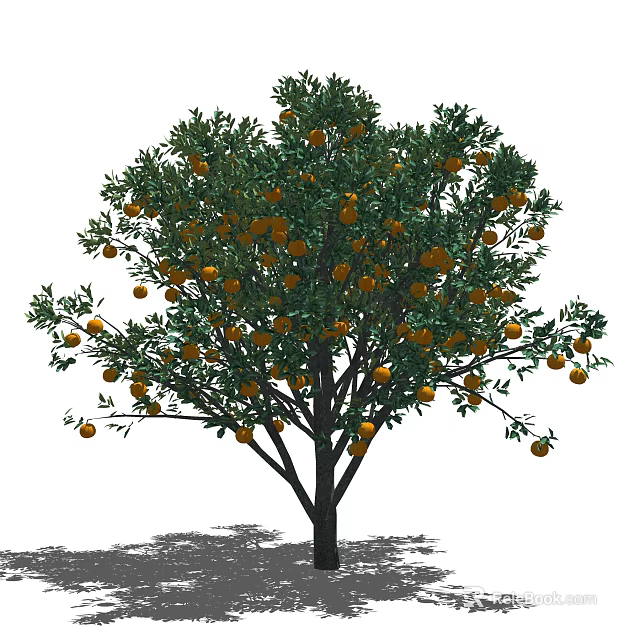 Lush Tree with Abundant Ripe Oranges and Green Leaves on Branches 3d model 