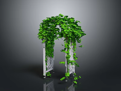 White Trellis Garden Arch Adorned With Lush Green Vines For Outdoor Decoration 3d model