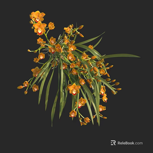 Beautiful Yellow Orchid Flowers With Long Green Leaves Blooming On Dark Background 3d model 