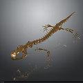 Metallic Detailed Golden Lizard Skeleton on Dark Background with Reflection