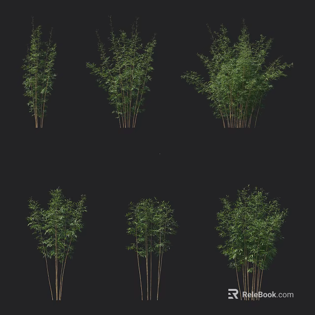 Six Groups of Bamboo with Different Forms Various Heights and Dense Levels on Black Background 3d model 