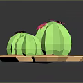 Low Poly Green Cactus Plants With Pink Flowers On Geometric Base
