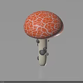 Red Cracked Cap Mushroom With White Stem And Gray Spots On Black Background