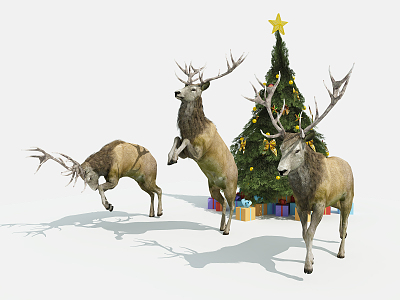 Modern Deer Reindeer model