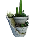Decorative Bonsai Potted Plants in Broken Ceramic Pot with Succulents Cactus and Greenery