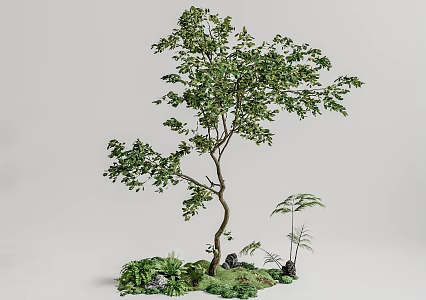 arbor landscape tree 3d model