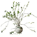 Decorative Marble Vase With Green Branches And Fresh Leaves For Interior 3d model