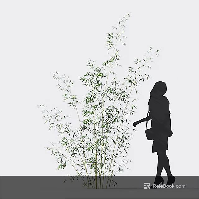 Bamboo Plants With A Woman's Silhouette In Simple Background 3d model 