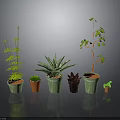 Various Types Of Green Plants In Different Size And Color Pots Against Gray Background