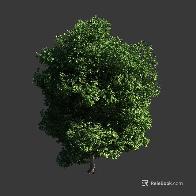 Lush Green Arbor With Dense Foliage And Strong Trunk In Natural Scene 3d model 