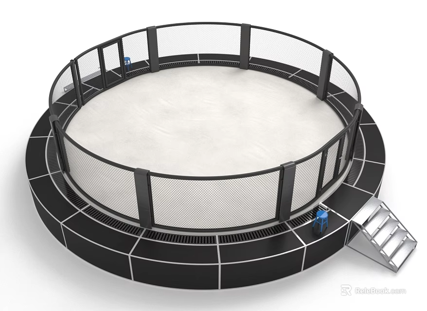 Circular Trampoline With Safety Net Enclosure Black Frame And Metal Ladder 3d model 