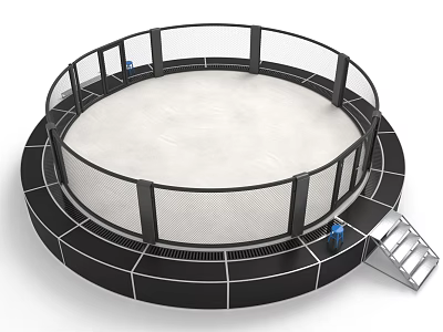 Circular Trampoline With Safety Net Enclosure Black Frame And Metal Ladder 3d model