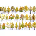 Modern Ginkgo Tree Landscape Arbor Yellow Tree 3d model