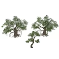 Green Arborescent Trees with Lush Foliage Thick Trunks and Various Sizes