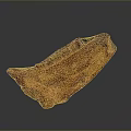 Brown Animal Bone Structure With Textured Surface And Hair Follicle Traces