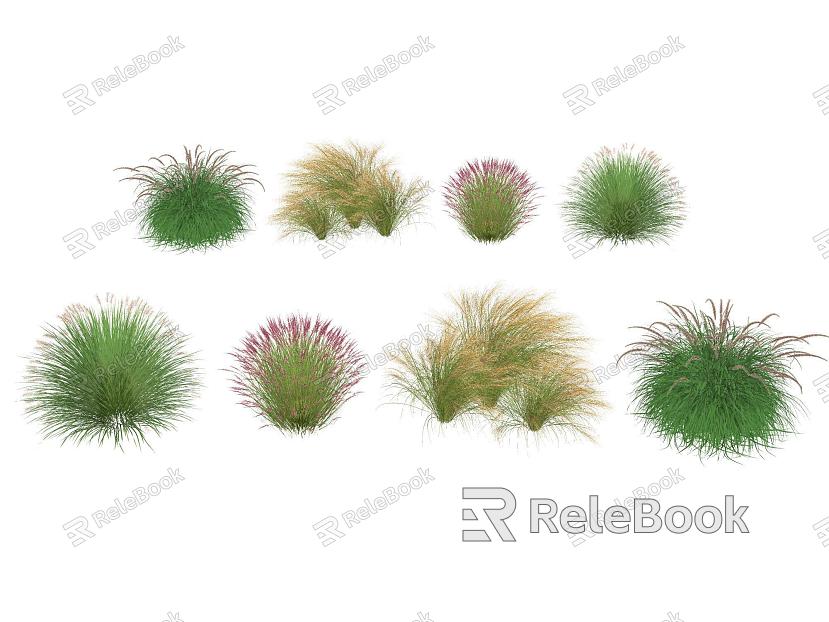 Landscape Plants Landscape Grassland Flowers Pennisetum Pink and Miscanthus Landscape Grass model