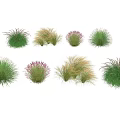 Various Types Of Colorful Ground Cover Plants For Landscaping And Garden Decoration