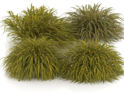 Lush Clumps Of Ornamental Grasses With Slender Green And Brownish Green Leaves 3d model