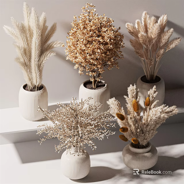 Textured White Vases With Various Dried Flowers Arranged On White Shelves For Home Decor 3d model 
