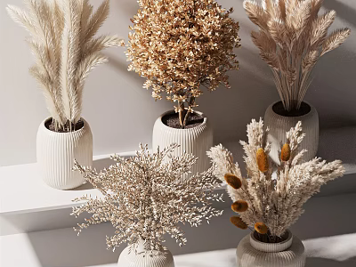 Textured White Vases With Various Dried Flowers Arranged On White Shelves For Home Decor 3d model