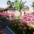 Beachfront Guesthouse Building With Wooden Deck Deck Chairs Large Windows Palm Trees And Ocean View