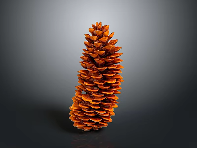 Natural Brown Pine Cone Decorative Home Decor Item With Conical Shape For Interior Decoration 3d model