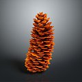 Pine cone plant game item 3d model