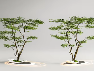 Modern landscape tree maple claw maple courtyard modeling tree red maple pool 3d model