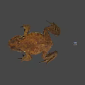 Realistic Brown Toad With Small Colorful Flying Device On Gray Background