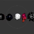 Diverse Head Models Featuring Various Hairstyles And Colorful Hair Silver Black White Pink Curly Black