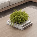 Fresh Green Potted Plant On Stacked Books On Wooden Table In Modern Living Room Interior