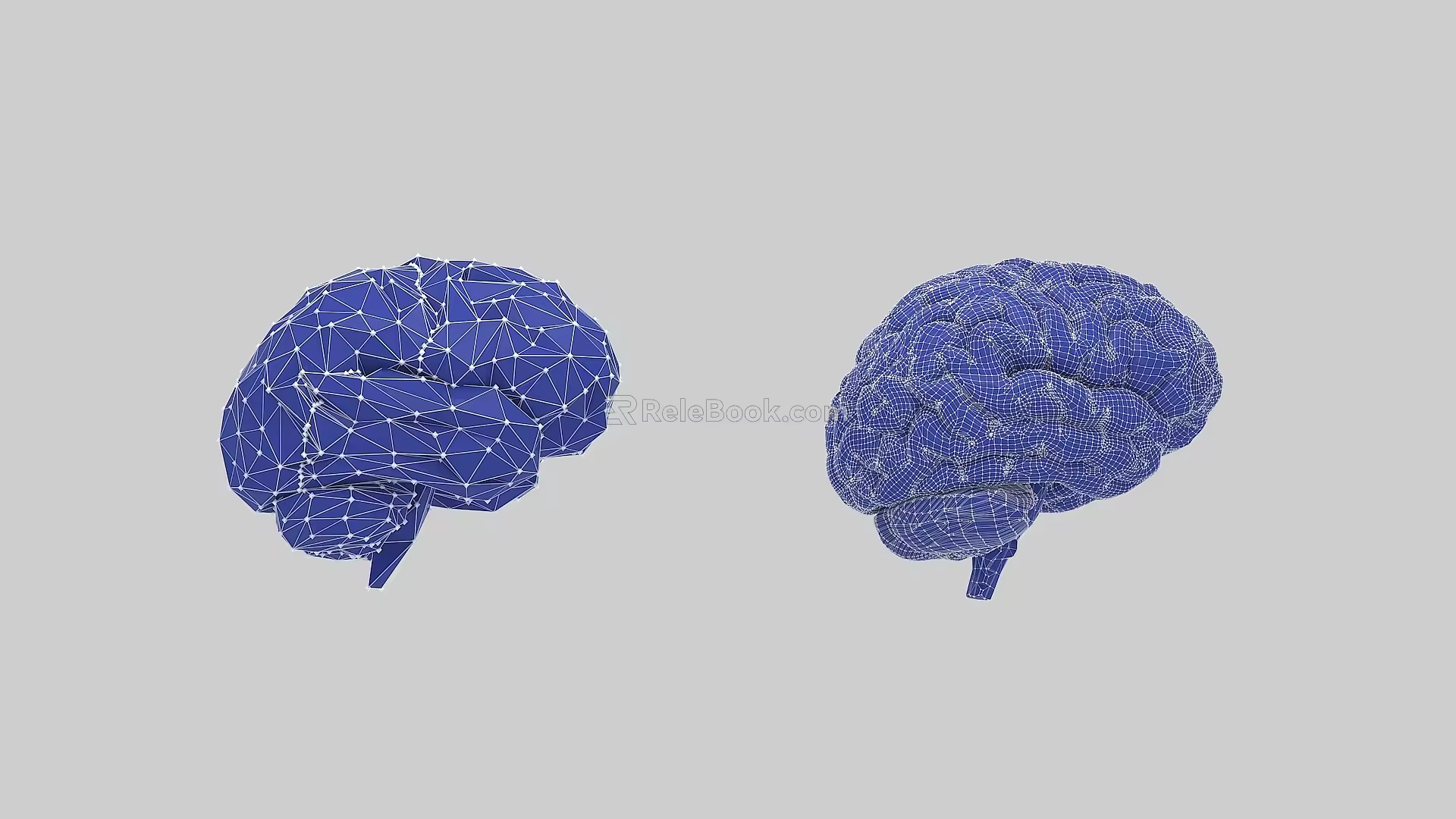 Brain Technology Brain 3d model