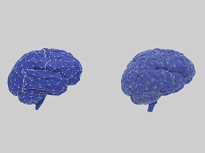 Detailed Game Film Characters Featuring Blue 3D Brain Models Low Poly And High Poly Design Details 3d model