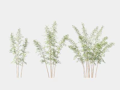 Lush Bamboo Plants with Vibrant Green Leaves and Slender Stems in Multiple Clusters 3d model