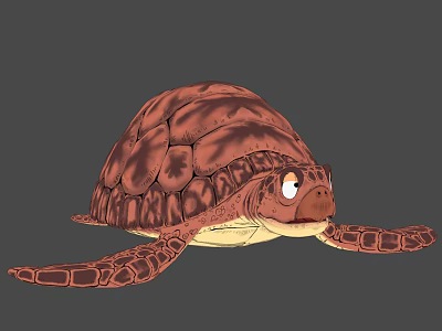 Cartoon Aquatic Turtle With Brown Shell Detailed Texture And Large Eyes 3d model