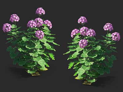 Vibrant Purple Flowering Plants With Lush Green Leaves And Fresh Blooms 3d model
