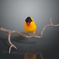 bird bird bird bird game animal cartoon animal animal realistic animal 3d model