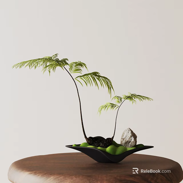 Bonsai Plant with Two Stems Green Fern Fronds Black Pot Decorative Stones and Moss 3d model 