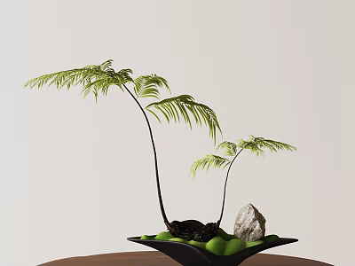 Bonsai Plant with Two Stems Green Fern Fronds Black Pot Decorative Stones and Moss 3d model