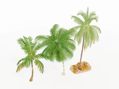 Tropical Palm Trees With Lush Green Foliage And Different Heights On Sandy Base 3d model