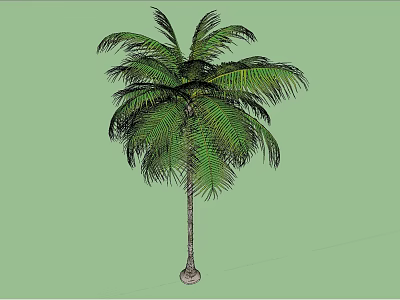 Tall Palm Tree With Lush Green Leaves And Slender Trunk On Green Background 3d model