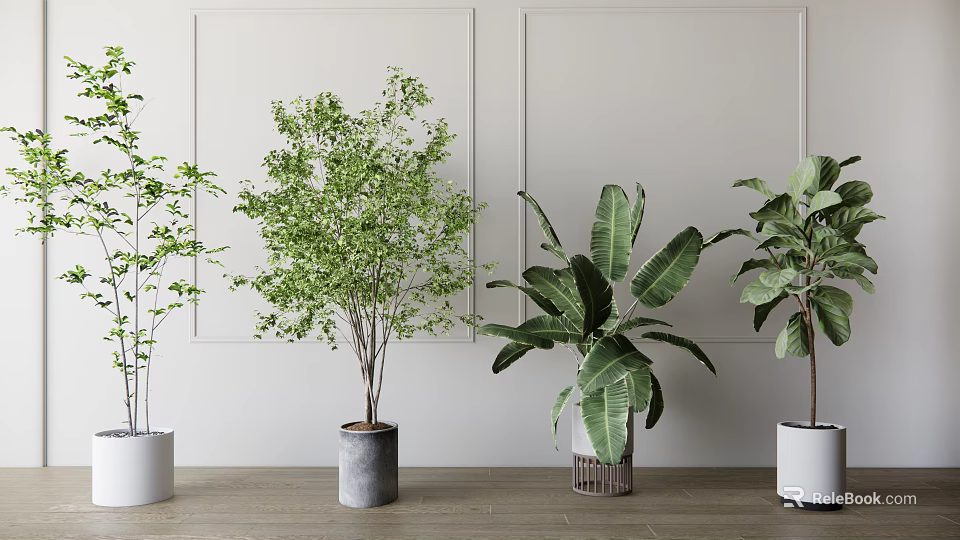 Indoor Bonsai Potted Plants With Various Green Foliage And Different Planters On Wooden Floor 3d model 