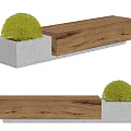 Modern Landscape Bench With Wooden And Concrete Structure And Green Shrub Ball