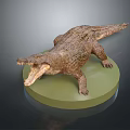 Realistic Detailed Crocodile Model With Open Mouth On Green Circular Base