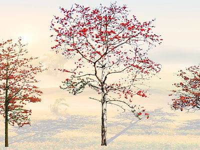 2D Kapok Kapok Qiong Branches Spotted Branches Flowering Trees 3d model